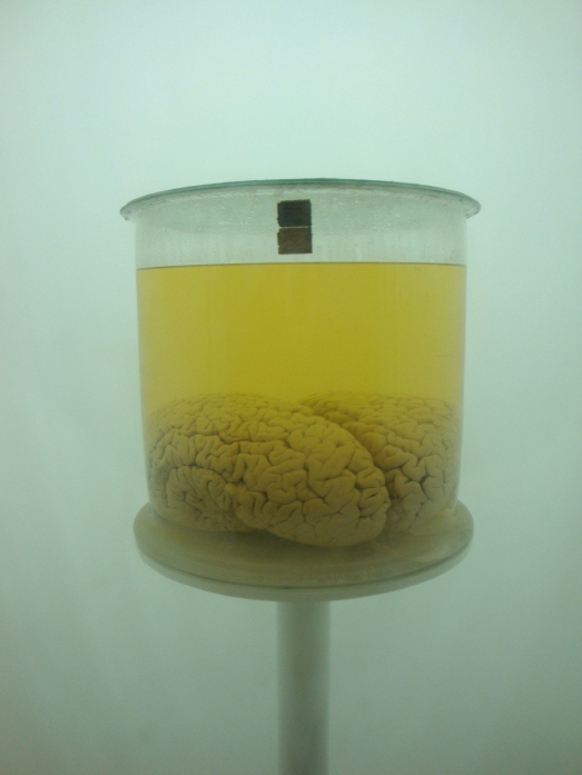 brain in box_teknisk museum
